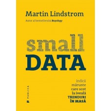 Martin Lindstrom - Small Data. Indicii marunte care scot la iveala trenduri in masa