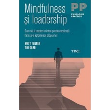 Matt Tenney, Tim Gard - Mindfulness si Leadership